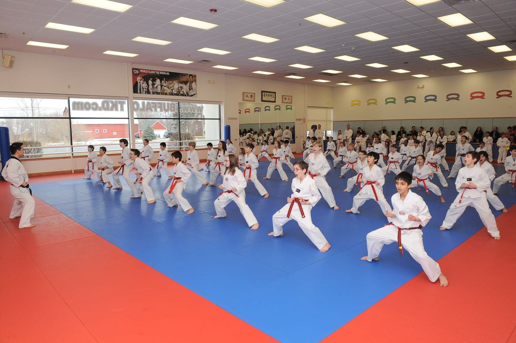 A full Tae Kwon Do class training at World Class Tae Kwon Do near Naperville
