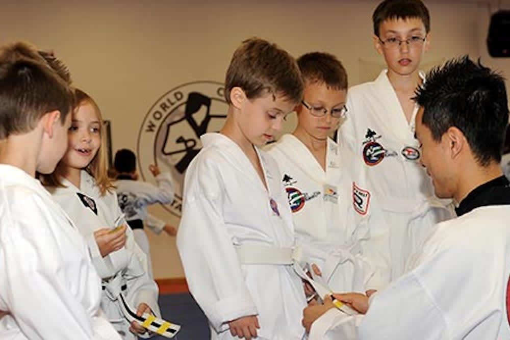 Kids Martial Arts at World Class Tae Kwon Do near Naperville