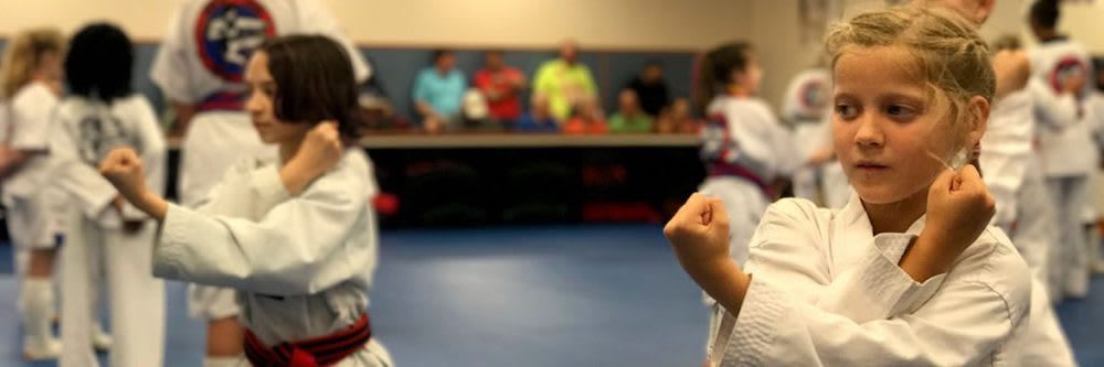 Young students lined up in a Tae Kwon Do class