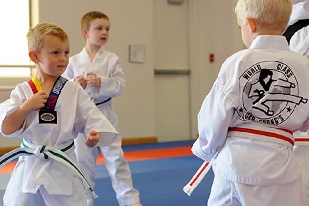 Little Tigers at World Class Tae Kwon Do near Naperville